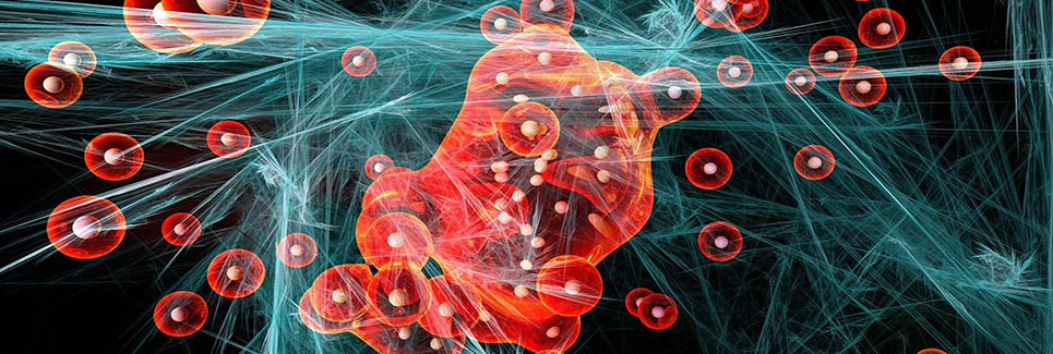 Biomedical Engineering - Molecular Modeling of Materials