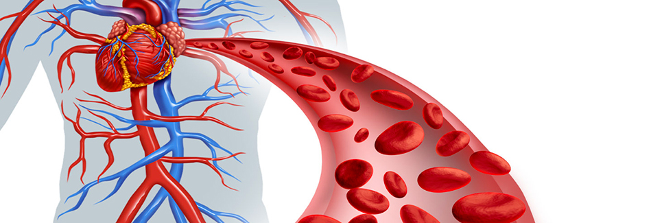 Bioengineering of Physiological Control Systems