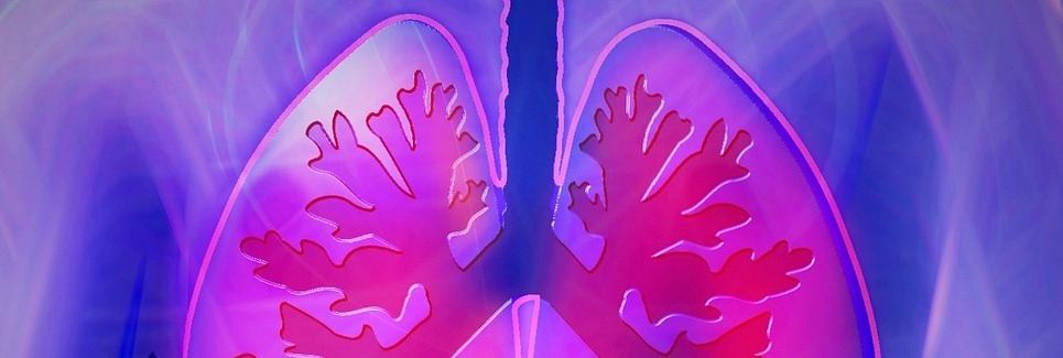 Biomedical Engineering - BIOENGINEERING OF THE RESPIRATORY SYSTEM 